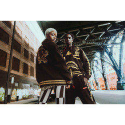 Sprayground Golden Tiger Varsity Black