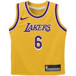 Nike 0-7 Icon Replica Jersey Los Angeles Lakers Lebron James – Nr. 6 Yellow/Purple