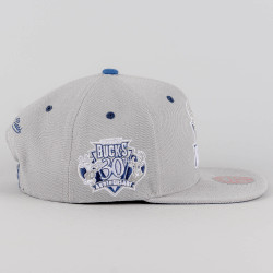 Mitchell & Ness The District Snapback Hwc Milwaukee Bucks Grey