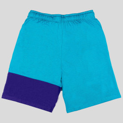 OUTER STUFF NBA PURE SHOOTER SHORT CHARLOTTE HORNETS BALL LAMELO TEAL/PURPLE