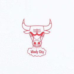 Mitchell & Ness NBA Merch Take Out Tee Chicago Bulls White