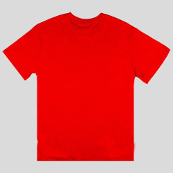 Mitchell & Ness Legendary Slub SS Tee TORONTO RAPTORS Scarlet