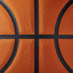 WILSON EVO NXT GAME BALL BSKT 29.5 (SZ. 7)