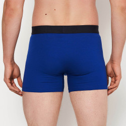 Levis Men Striped Wb Logo Boxer Brief 2P Blue Combo