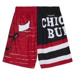 Mitchell & Ness NBA Jumbotron 3.0 Shorts Chicago Bulls Multi / White