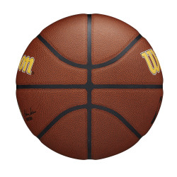 Wilson NBA Team Alliance Composite Basketball Indiana Pacers (sz. 7)