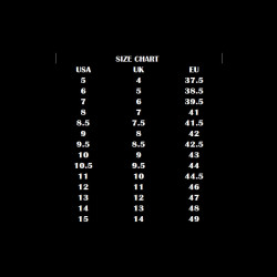 Ewing Athletics EWING ROGUE “Ice T“ wood ash/maui blue/redwood/white