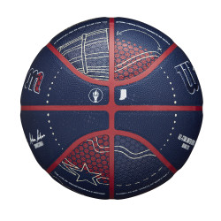 Wilson 2024 NBA All Star Collector Bskt (sz. 7)