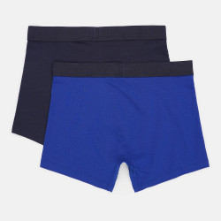 Levis Men Striped Wb Logo Boxer Brief 2P Blue Combo