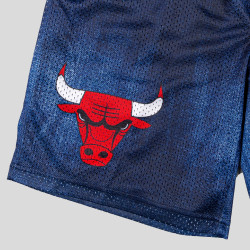 Outer Stuff Heating Up' Short Chicago Bulls Indigo