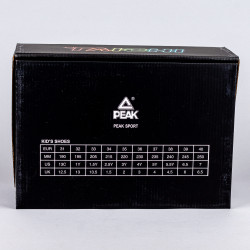 Detské basketbalové tenisky Peak Kids Basketball Shoes Disc Big Triangle 2 Black