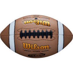 WILSON GST COMPOSITE FOOTBALL