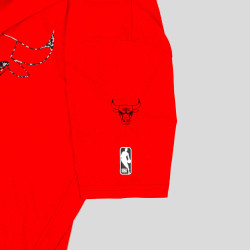 Nba Nike Essential Ss Cc Tee 8-20 Chicago Bulls Red