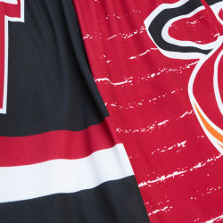 Mitchell & Ness NBA Jumbotron 3.0 Shorts Miami Heat Multi / White