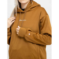 Champion Hooded Sweatshirt Brown