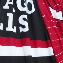 Mitchell & Ness NBA Jumbotron 3.0 Shorts Chicago Bulls Multi / White
