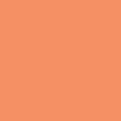Columbia CSC Basic Logo™ II Hoodie Desert Orange