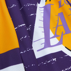 Mitchell & Ness NBA Jumbotron 3.0 Shorts Los Angeles Lakers Multi / White