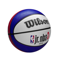 Wilson Jr. NBA Drv Light Fam Logo Bskt. (sz. 5) Blue/Red/White