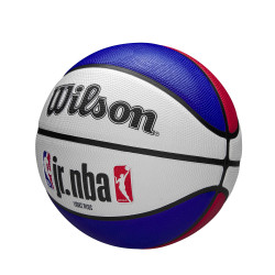 Wilson Jr. NBA Drv Light Fam Logo Bskt. (sz. 5) Blue/Red/White