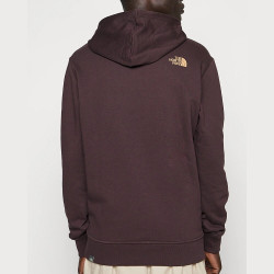 The North Face Men’S Standard Hoodie Colbrn/Almndbtr