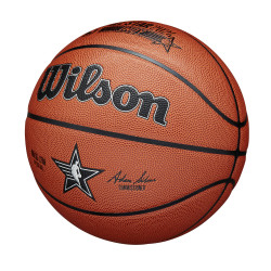 Wilson 2024 NBA All Star Replica Bskt (sz. 7)