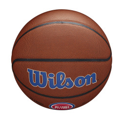 Wilson NBA Team Alliance Composite Basketball Detroit Pistons (sz. 7)