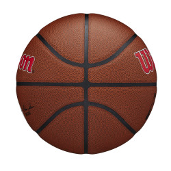 Wilson NBA Team Alliance Composite Basketball Los Angeles Clippers (sz. 7)