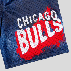 Outer Stuff Heating Up' Short Chicago Bulls Indigo