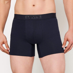 Levis Men Striped Wb Logo Boxer Brief 2P Blue Combo