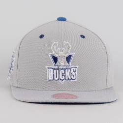 Mitchell & Ness The District Snapback Hwc Milwaukee Bucks Grey