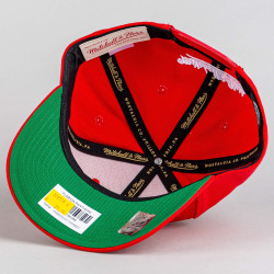 Šiltovka Mitchell & Ness NHL Florida Panthers Team Ground 2.0 Pro Snapback červená