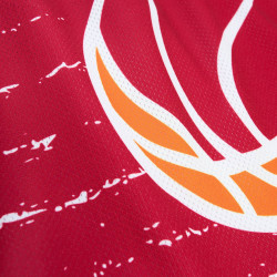 Mitchell & Ness NBA Jumbotron 3.0 Shorts Miami Heat Multi / White