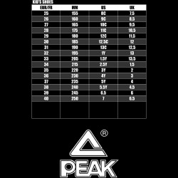 Detské basketbalové tenisky Peak Kids Basketball Shoes Big Triangle 2.0 Disc Lt.Blue
