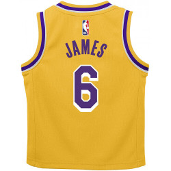 Nike 0-7 Icon Replica Jersey Los Angeles Lakers Lebron James – Nr. 6 Yellow/Purple