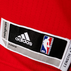 Adidas Int Swingman 2 Wiz John Wall (A78943)