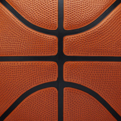 Wilson NBA Authentic Series Outdoor (sz. 6)