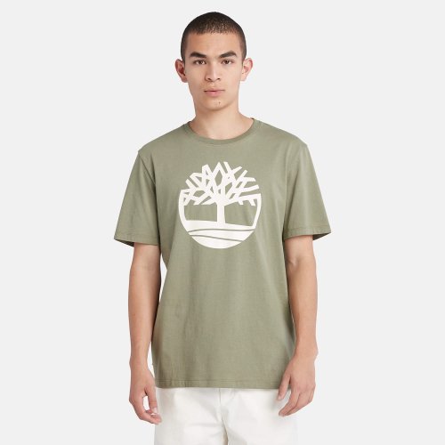 Timberland Kbec river - olive