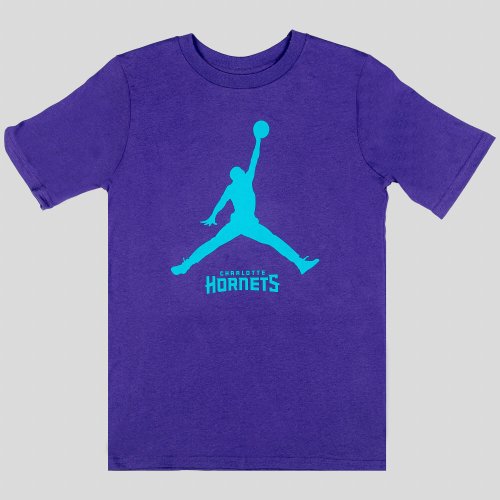 Jordan Nba Nk Essential Jordan Ss Tee - 8-20 Charlotte Hornets Purple