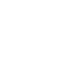 logo Karl Kani